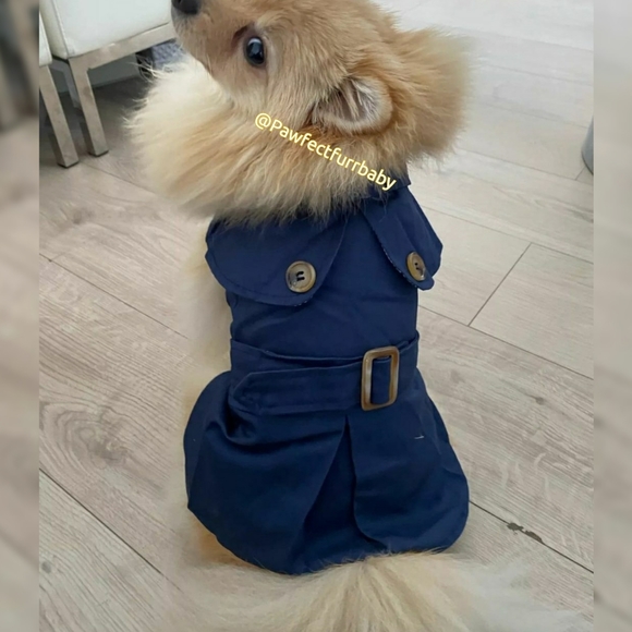 Fall Staple Doggy Trench - Picture 2 of 3